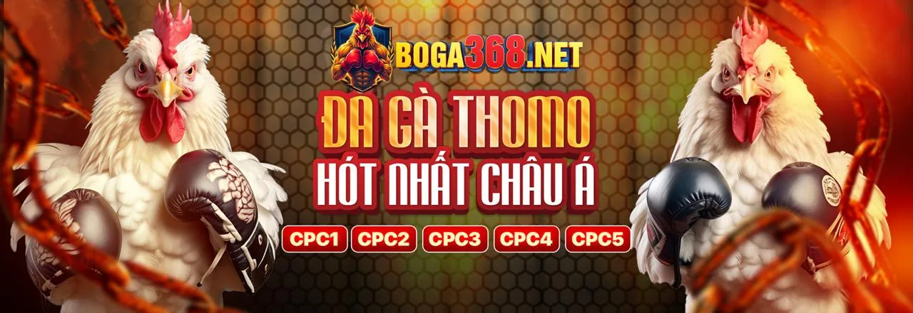 Đội ngũ hỗ trợ khách hàng của mmoo9 chính thức
